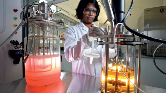 Phargalis laboratoire